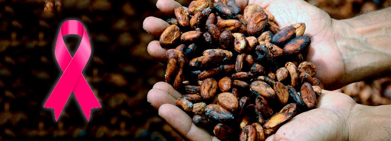 1-HEAD_cacao0911.jpg