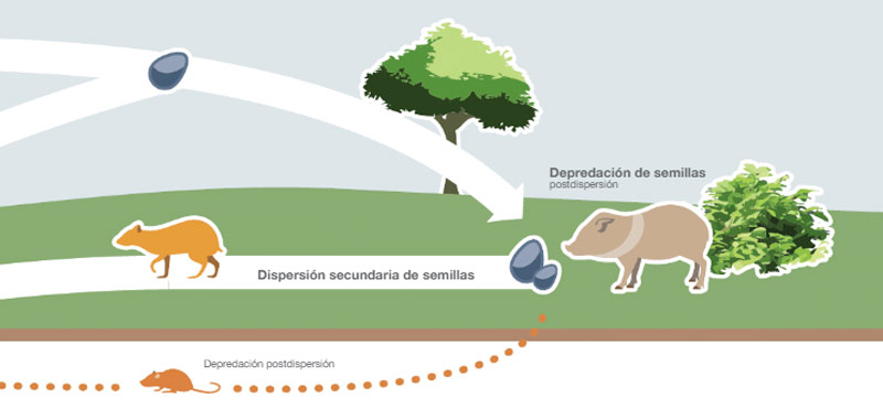 1-dispercion2018.jpg