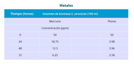 1-metales0817.jpg