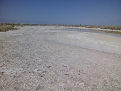 Laguna Churince en abril 2017