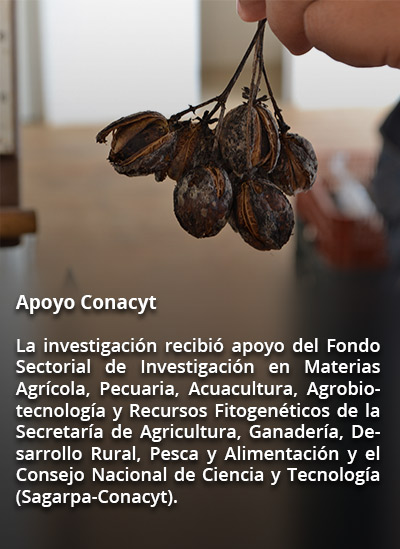 agro rec2 9617