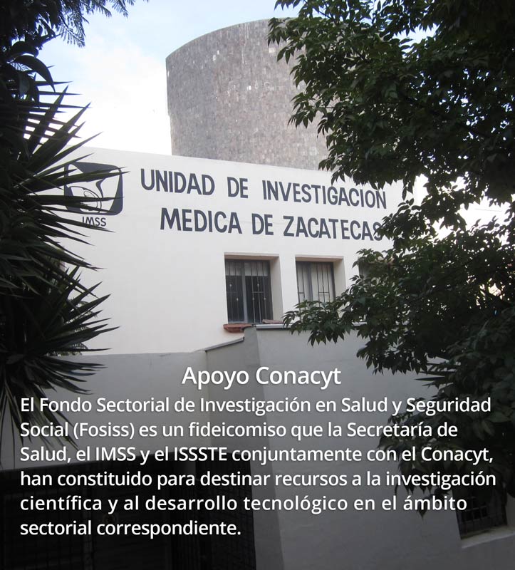 Apoyo Conacyt 12 3