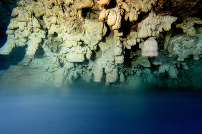 Campanas-del-inframundo-sobre-haloclina.-Fotografía-Eugenio-Aceves.jpg