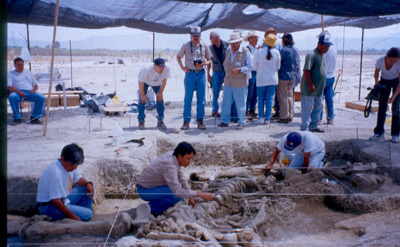 Fotografía-del-Museo-de-Paleontología-de-Guadalajara.jpg