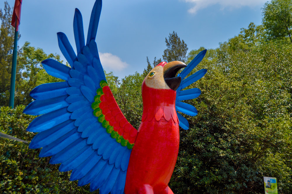 Guacamaya-roja_1_1804.jpg