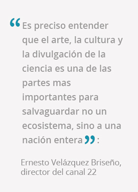 frase ernesto velazquez briseno