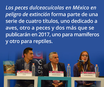 Los-peces-dulceacuícolas-en-México-en-peligro-de-extinción-forma-parte-de-una-serie-de-cuatro-títulos,-uno-dedicado-a-aves,-otro-a-peces-y-dos-más-que-se-publicarán-en-2017,-uno-para-mamíferos-y-otro-para-reptiles2.jpg