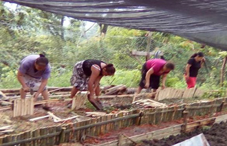 Misantla--Construcción-de-camas-elevadas-para-sembrar-hortalizas.-Foto-cortesía-Dra.-Mirna-Ambrosio.jpg