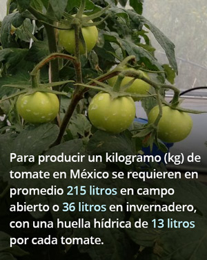 Sistema-de-recirculación-de-agua-para-cultivo.jpg