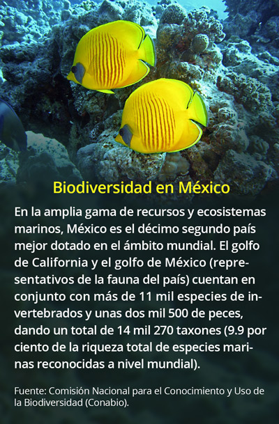 Biodiv mx golfo