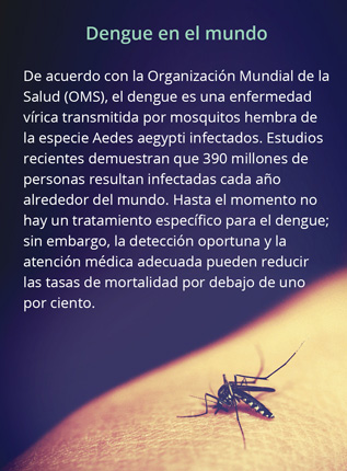 Dengue mundo tab 16