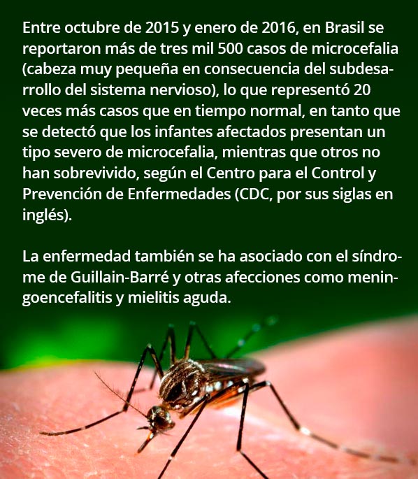 aedes 167 3