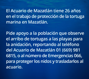 maza acua 167