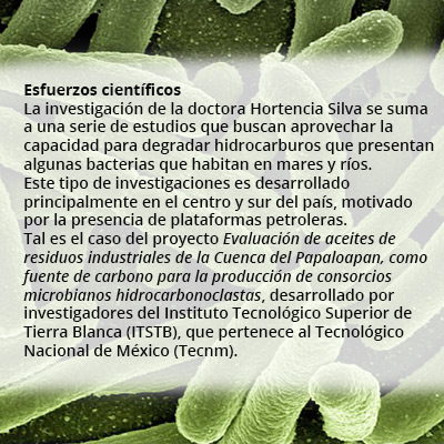 bacterias rec1 52417