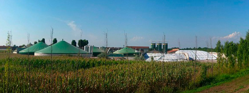 biogas-head-61917.jpg