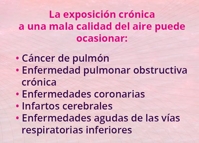 1 exposicion2402