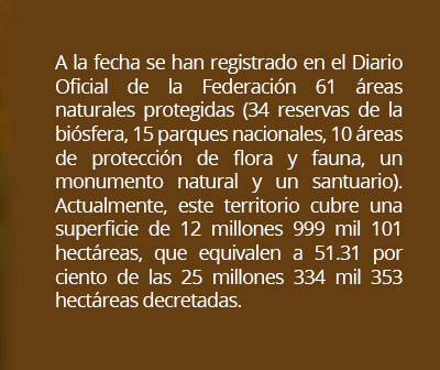 info areas naturales mexico01b