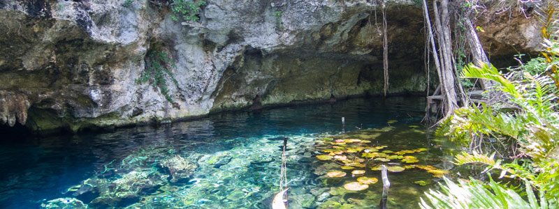 1 cenote3003