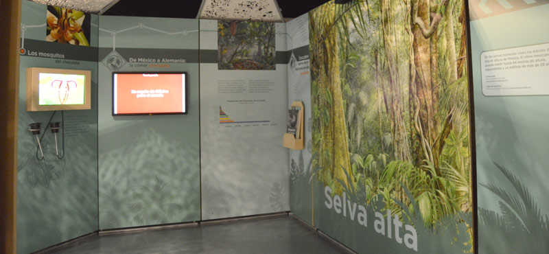 1 selva0905