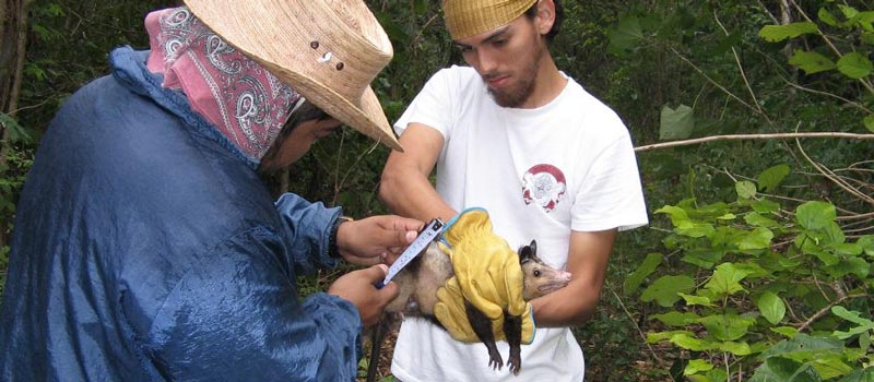 Carlos Yanez 03 banner cambio climatico