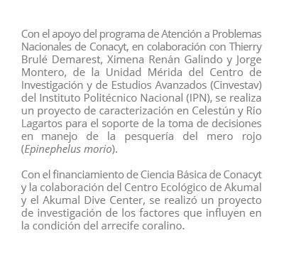 apoyo conacyt piesacom02