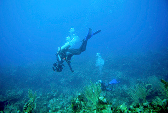 buceo piesacom01