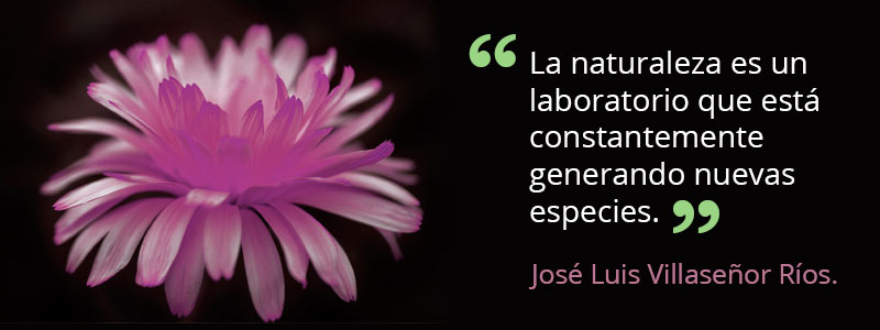 frase02 jose luis villasenor