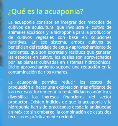 info acuaponia02