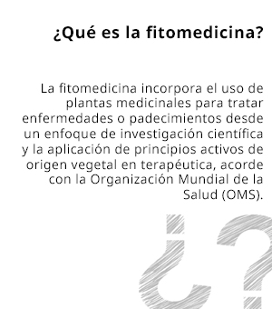 alimentofuncional cuadro3 140416