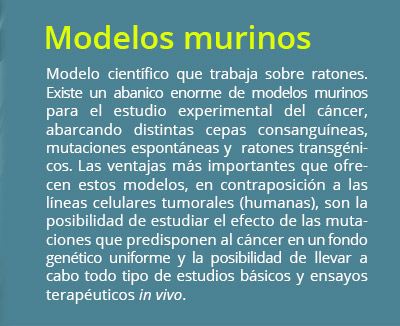 modelos murinos02