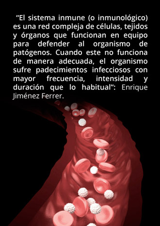 recuadro sistema inmunologico chico