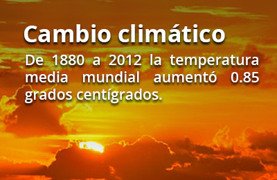 clima rec1 11118