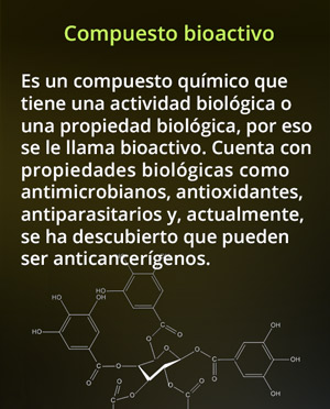 comp_bioactivo-172.jpg