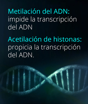 cuadro_ADN_1803-4.jpg