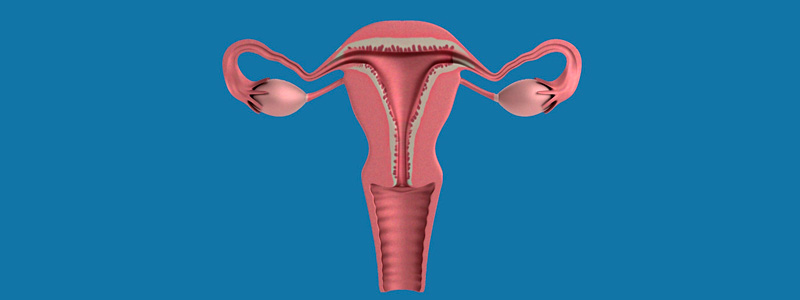 banner transplante utero01