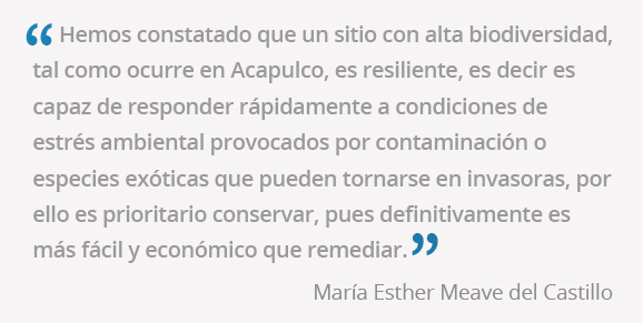 frases Esther Meave 5