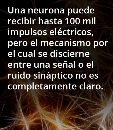 neuronas cuadro 3117