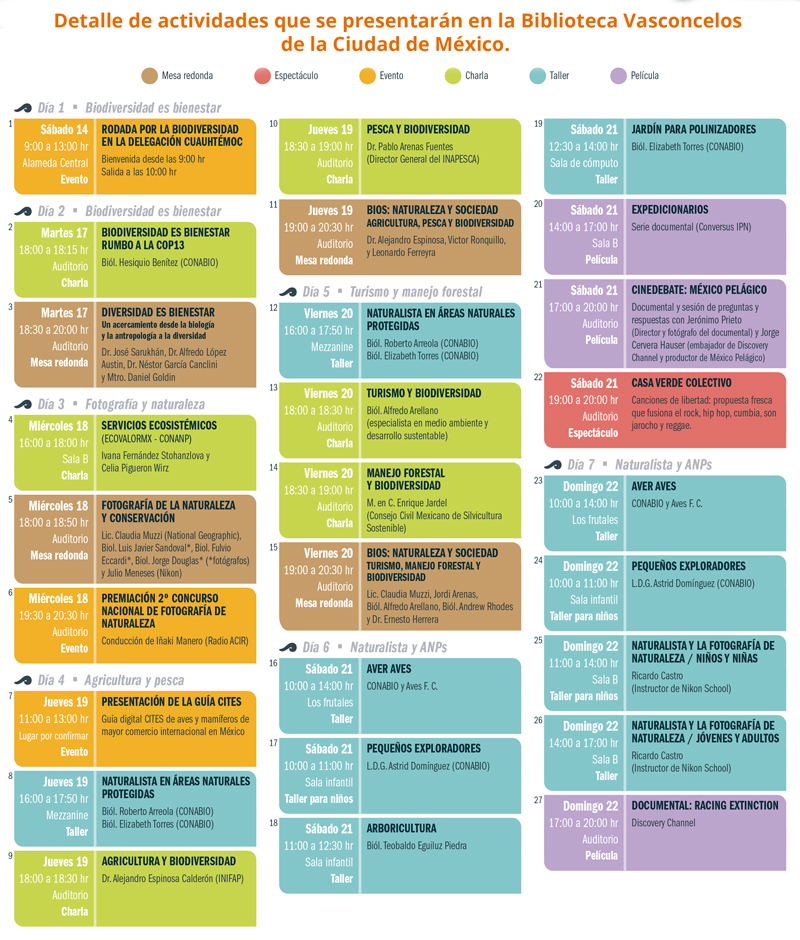 Programa 6ta semana