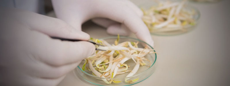 banner premio ciencia alimentos