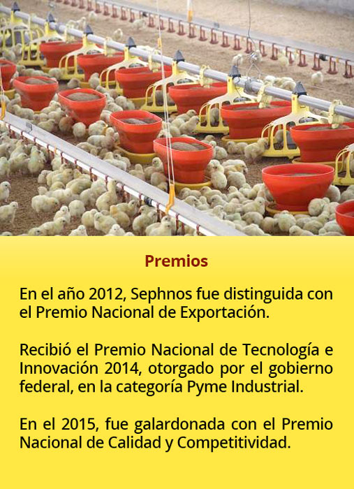 comederos premios