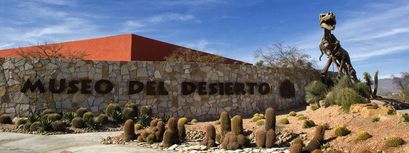 HEAD desierto2816