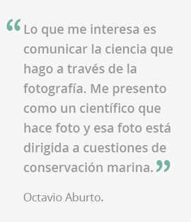 frase octavio aburto