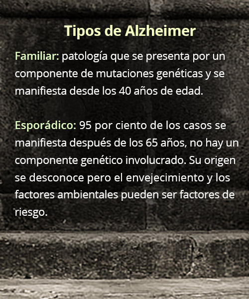 Tipos alzheimer 16 2