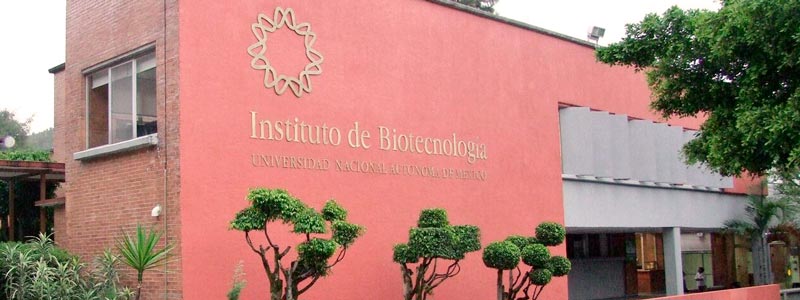 banner instituto biotecnologia unam