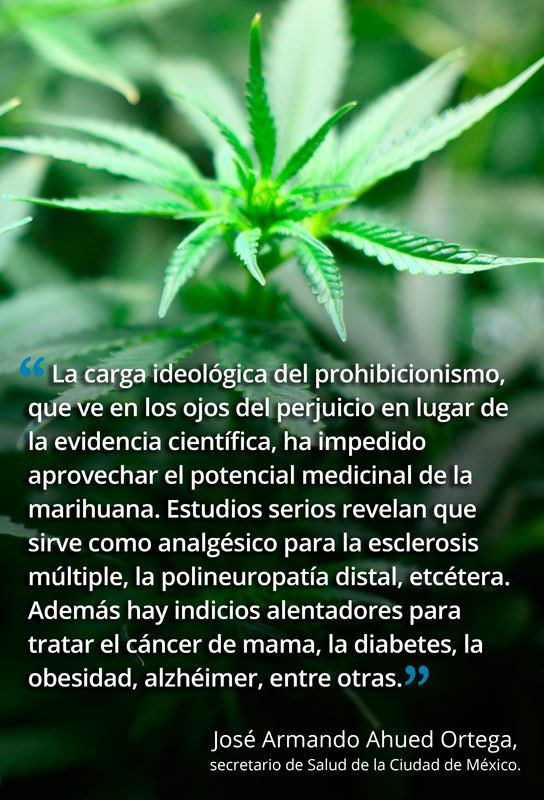 mariguana potencial 16 2