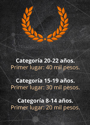 premios todos mismo chip