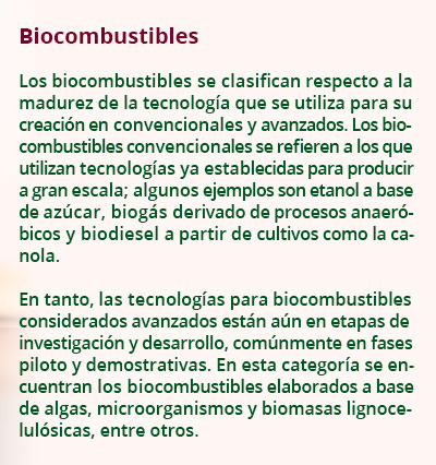 1 biocombustibles0102 B