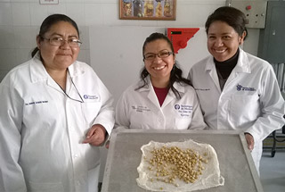 equipo innovacion deshidratacion alimentos itesm qro