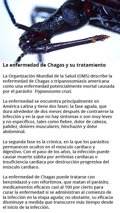 chagas rec1 72117