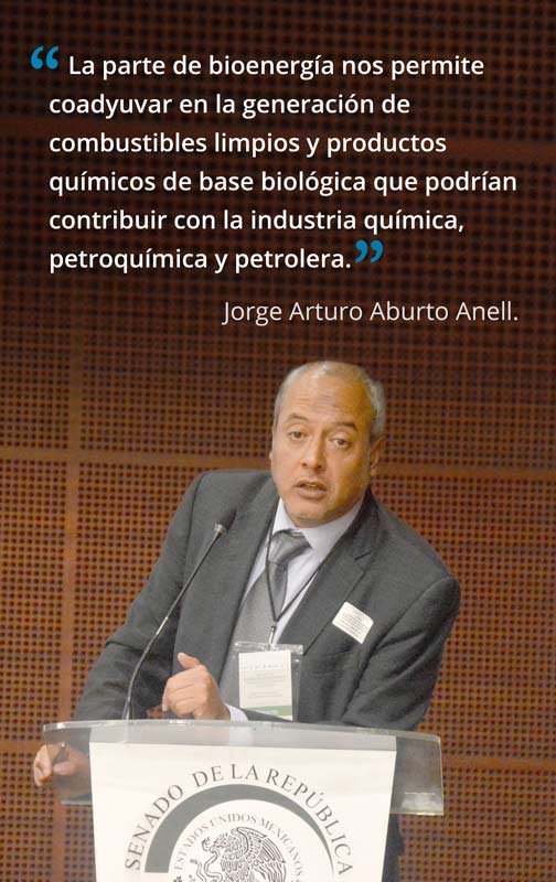 Aburto Anell. Petroleo 10 2